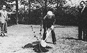 ヒポクラテス植樹