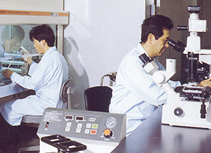 組み換えDNA実験