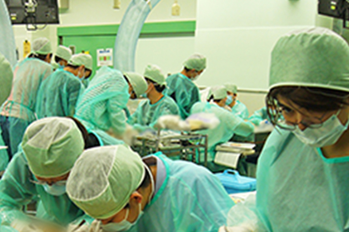 解剖学実習 獨協医科大学 解剖学実習 獨協医科大学