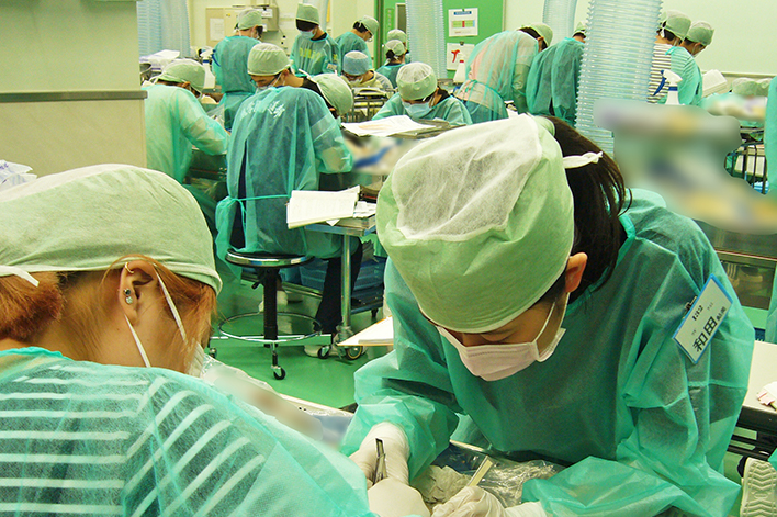 解剖学実習 獨協医科大学 解剖学実習 獨協医科大学