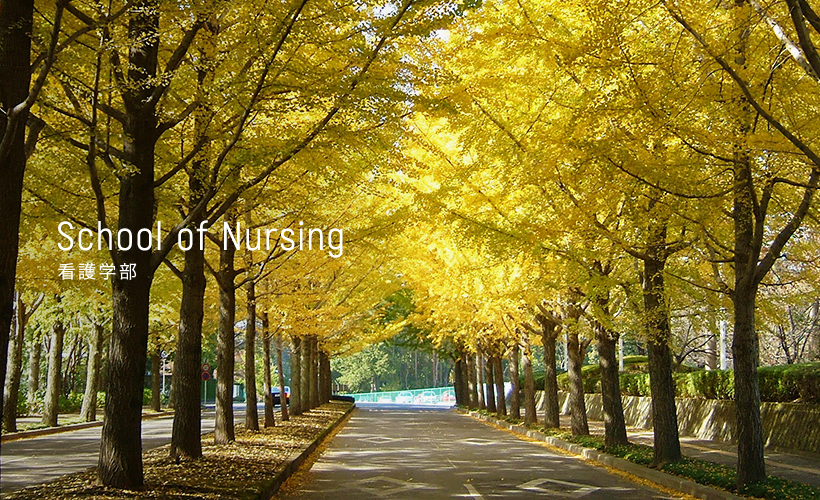 Nurse school 看護学部