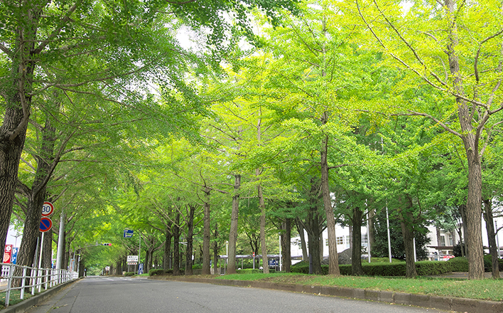 人間ドックについて 獨協医科大学病院